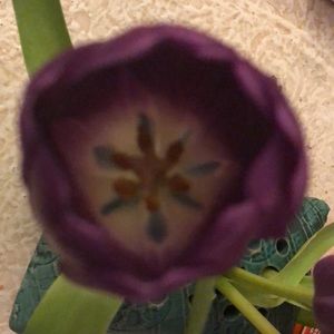 Meet your Posher, Sami